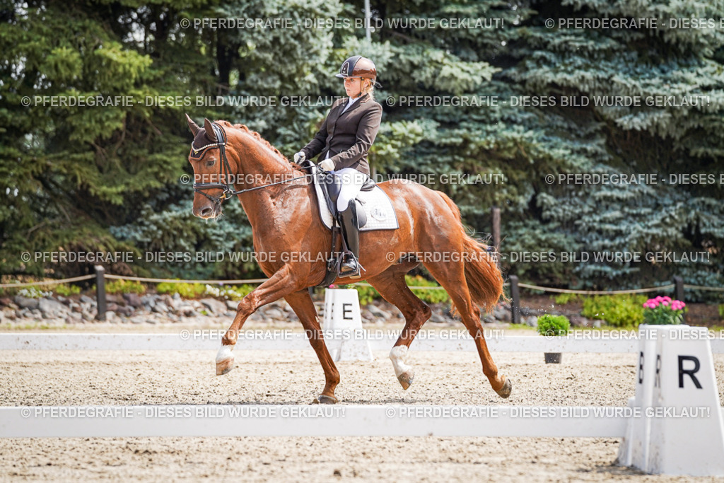 DSC09870 | Pferdegrafie