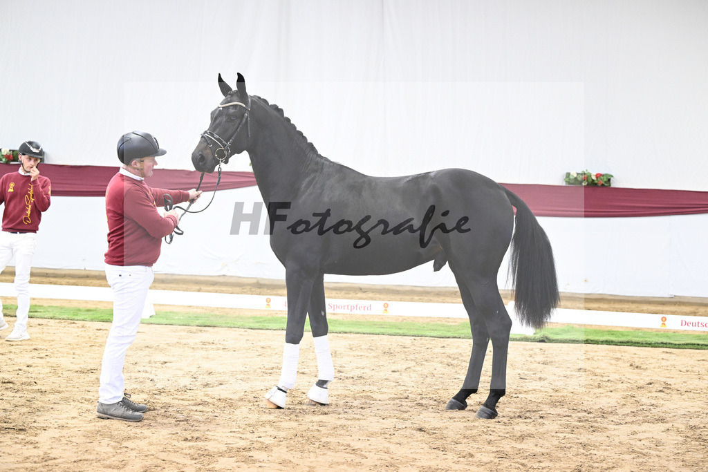 Kat-Nr. 23 Va Pensiero x De Niro_Christiane Schindele_47250700 | hf-fotografie - Realisiert mit Pictrs.com