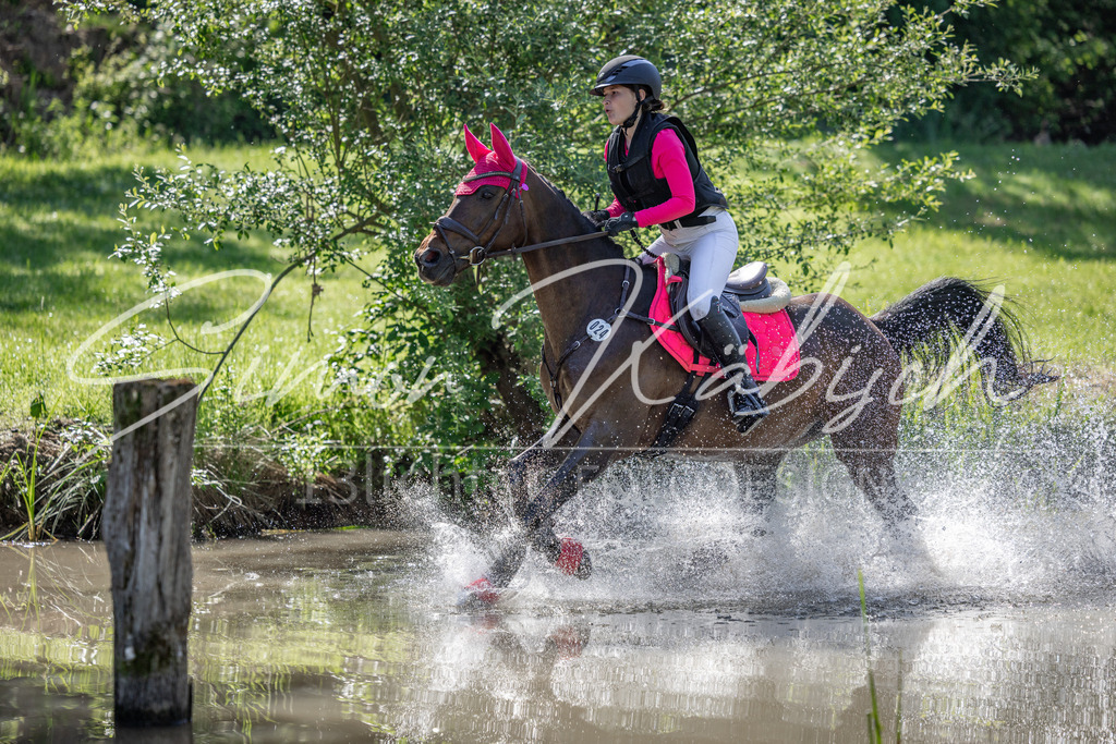 20260523-_3LI6907 | Tierfotografie Pferde, Hunde, Katzen, Haustiere.
Turnierfotografie Reitturniere, Reiten, Springreiten, Dressur in Hanau, dem Main-Kinzig-Kreis und dem Rhein-Main- Gebiet um Frankfurt