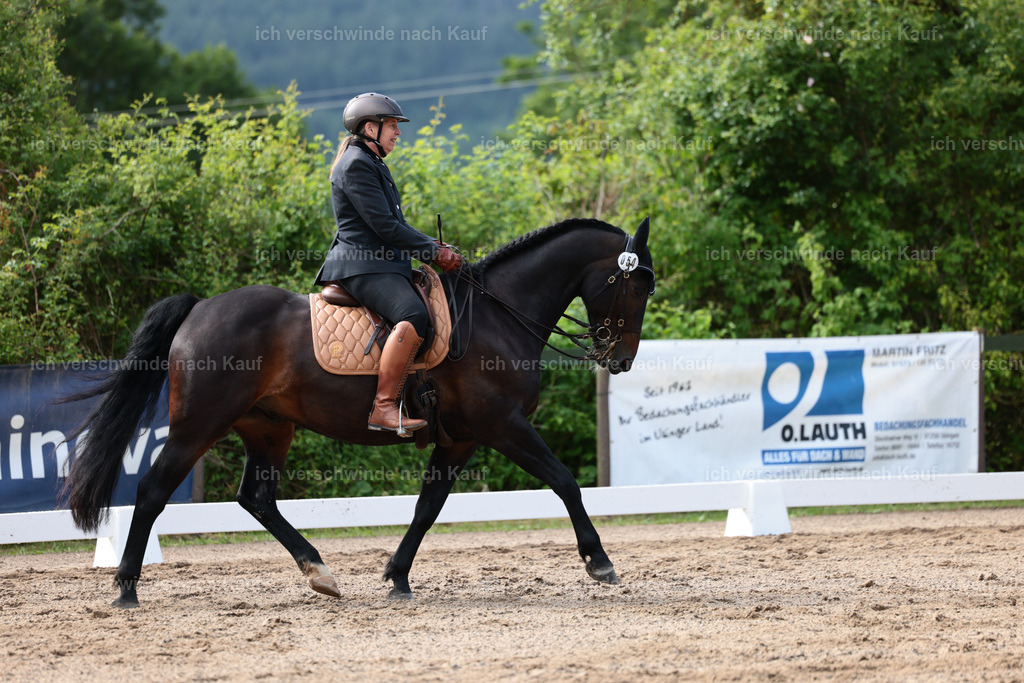 KlasseL_Stoibphotography_CAM21040.JPG | working equitationturnier fotograf videograf stoibphotography marixx film working equitation deutschland reitsport turnierfotografie eventfotografie equestrian events