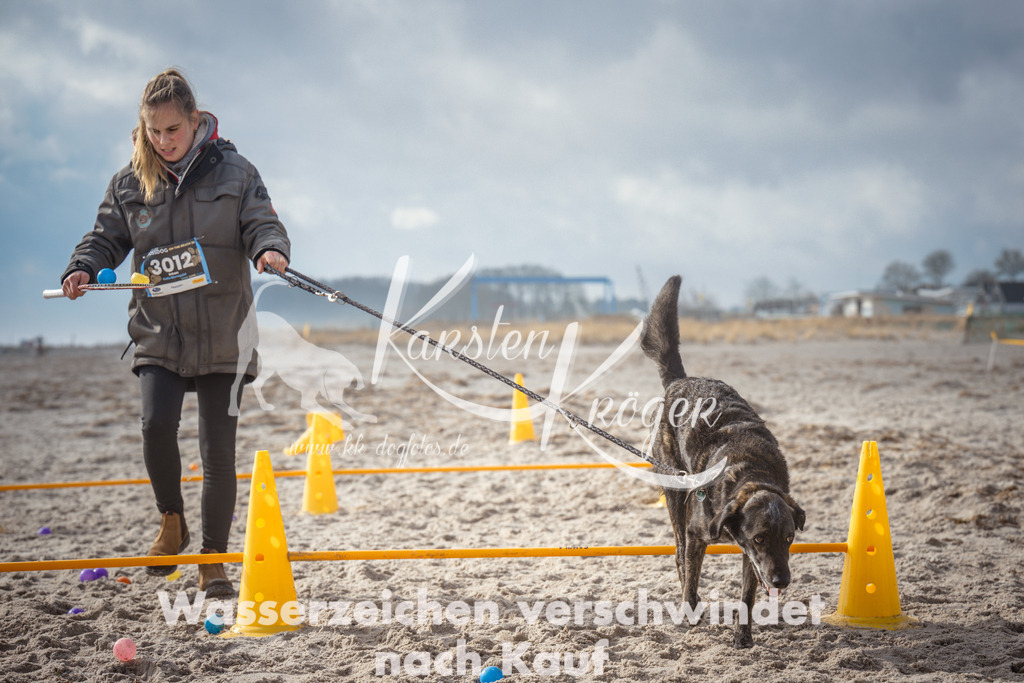 1159_ZZ93243 | kk-dogfotos