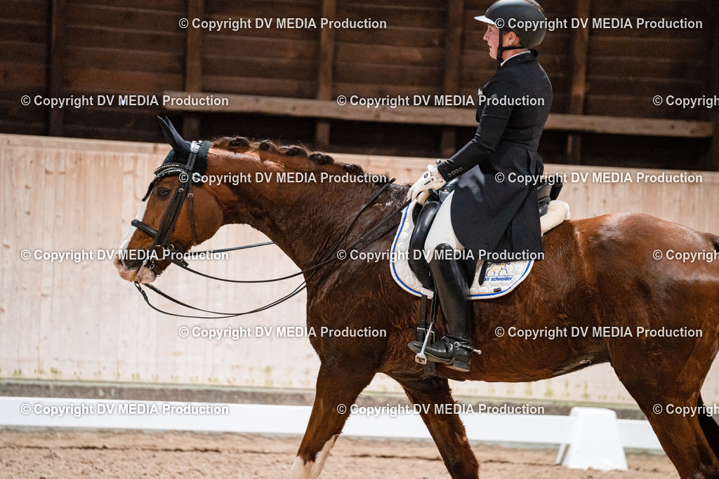 Dressur Tag 2-643 | dv-media-shop - Realisiert mit Pictrs.com