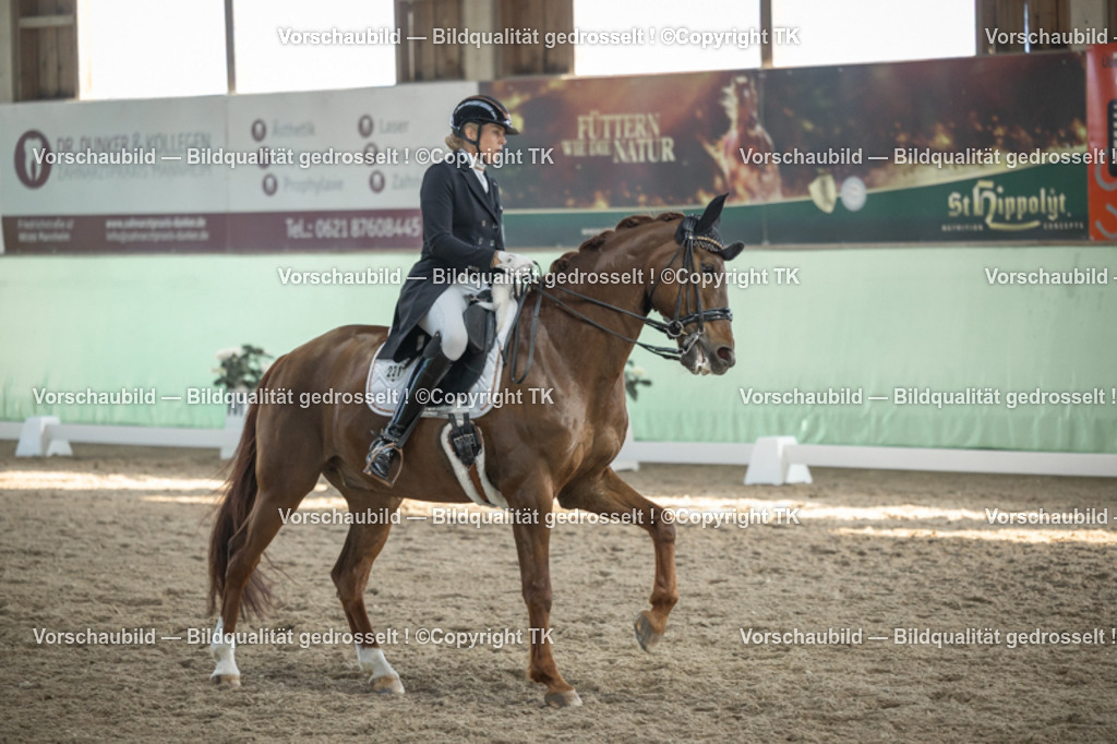 _D5A0600 | Emotionale Pferde- & People-Fotografie rund um Heidelberg, Leimen & Umgebung. Natürliche Fotos von Pferd, Mensch & Familie. Jetzt Termin sichern!