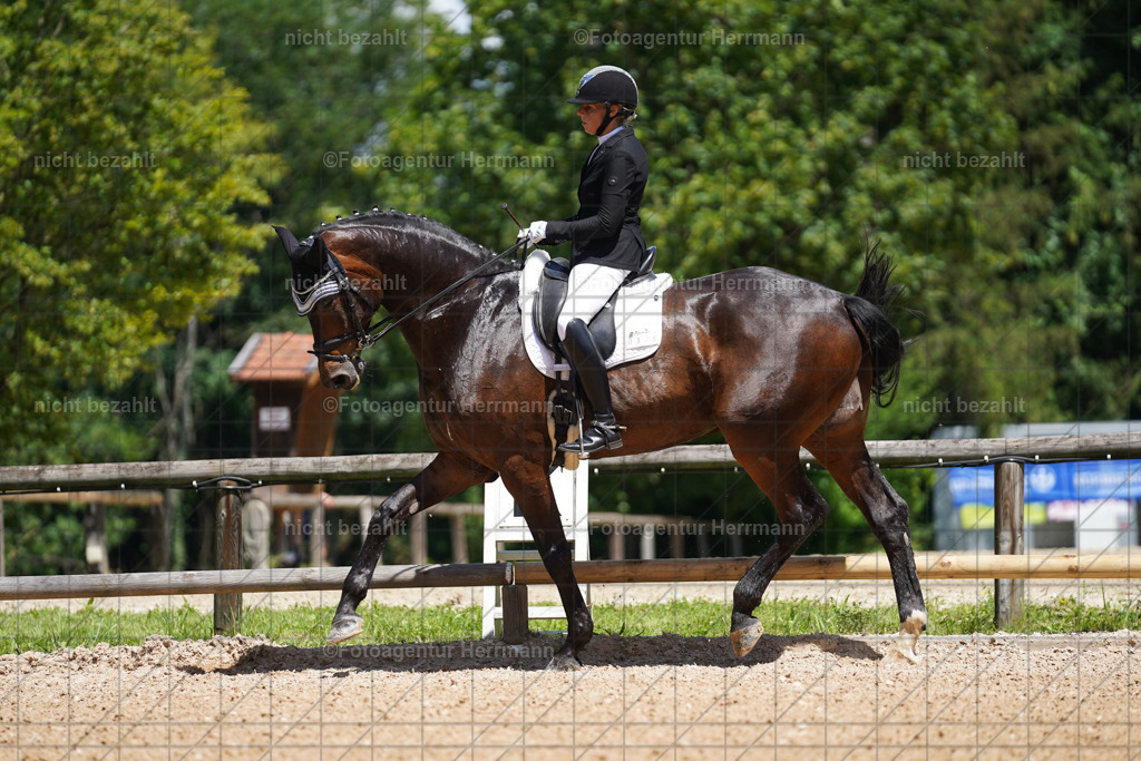 20240705-FAH03434 | Turnierbilder von Grafing, Reitsportbilder, Turnierfotos, Turnierfotografen Bayern, Pferdefotograf, Fotoagentur Herrmann