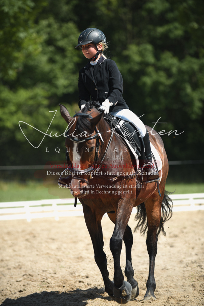 DSC_2473 | Pferde- und Turnierfotografie in Westsachsen. Pferdeportraits, Auftragszeichnungen und intuitive Kunst.