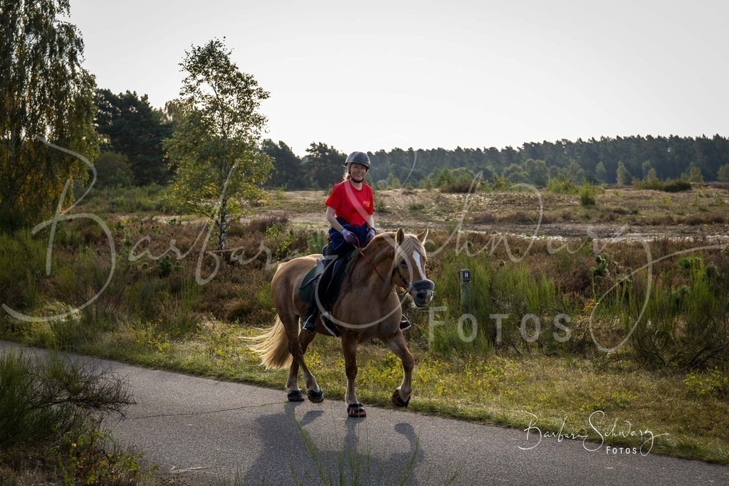 DdLH-TrotBy_2025-09-20_47 | Fotografie, Veranstaltungs-Fotografie, Pferde-Fotografie, Landschafts-Fotografie, Reise-Fotografie - Realisiert mit Pictrs.com