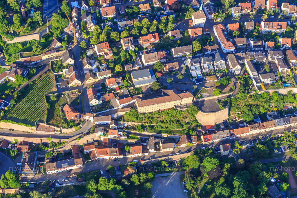 Luftbild: Schanze zwischen Schulgasse und Fischerhalde in Breisach am Rhein im Bundesland Baden-Württemberg in Deutschland. Foto: IMG_147855.jpg vom 30.05.2025 durch Werner Riehm/FLY-FOTO.de