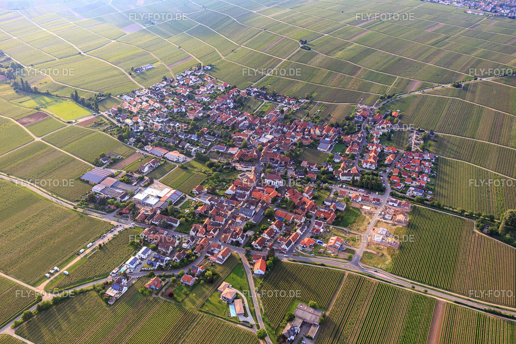 Dorfübersicht aus Südosten | Luftbild: Dorfübersicht aus Südosten in Hainfeld im Bundesland Rheinland-Pfalz in Deutschland. Foto: IMG_107436.jpg vom 25.05.2018 durch Werner Riehm/FLY-FOTO.de - Realisiert mit Pictrs.com