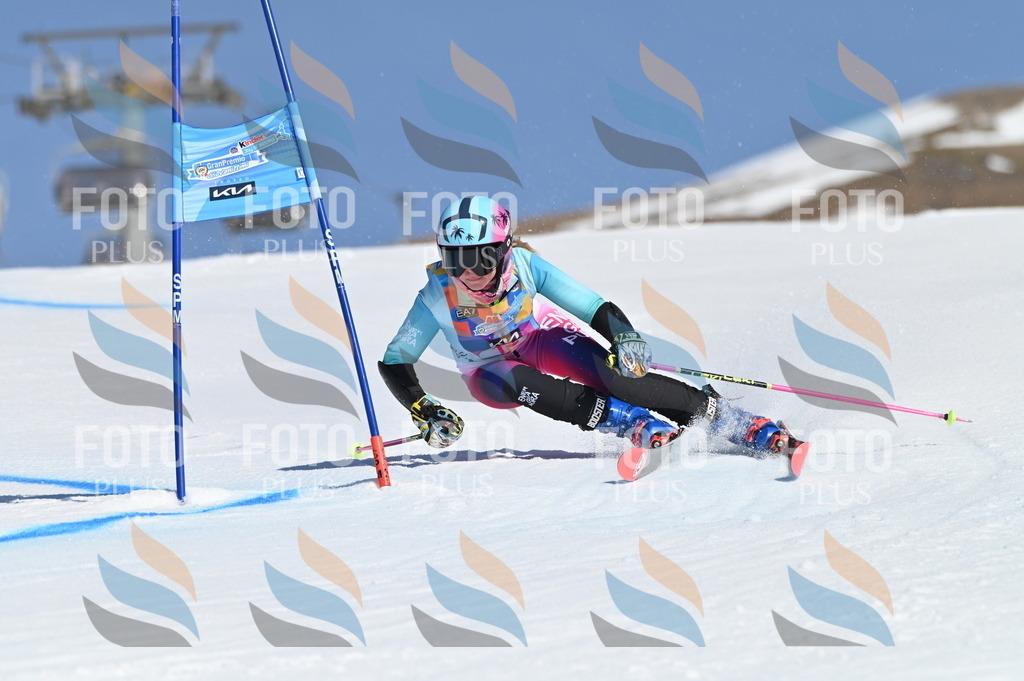 BGV_7853 | holidayphoto