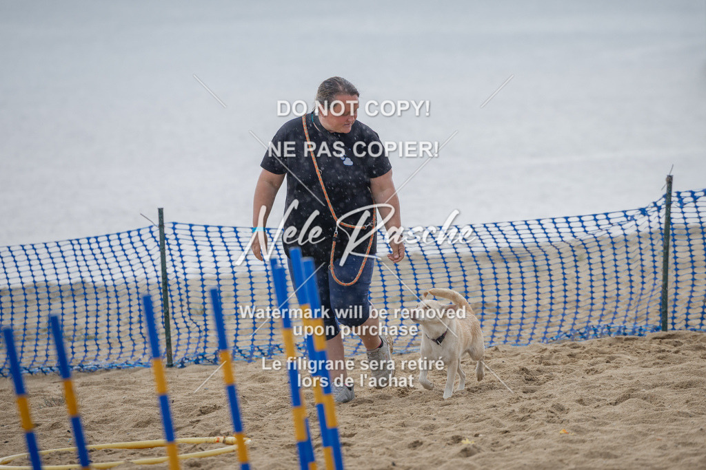 nelerasche_BuHu2026_So1430-1530_96 | nelerasche