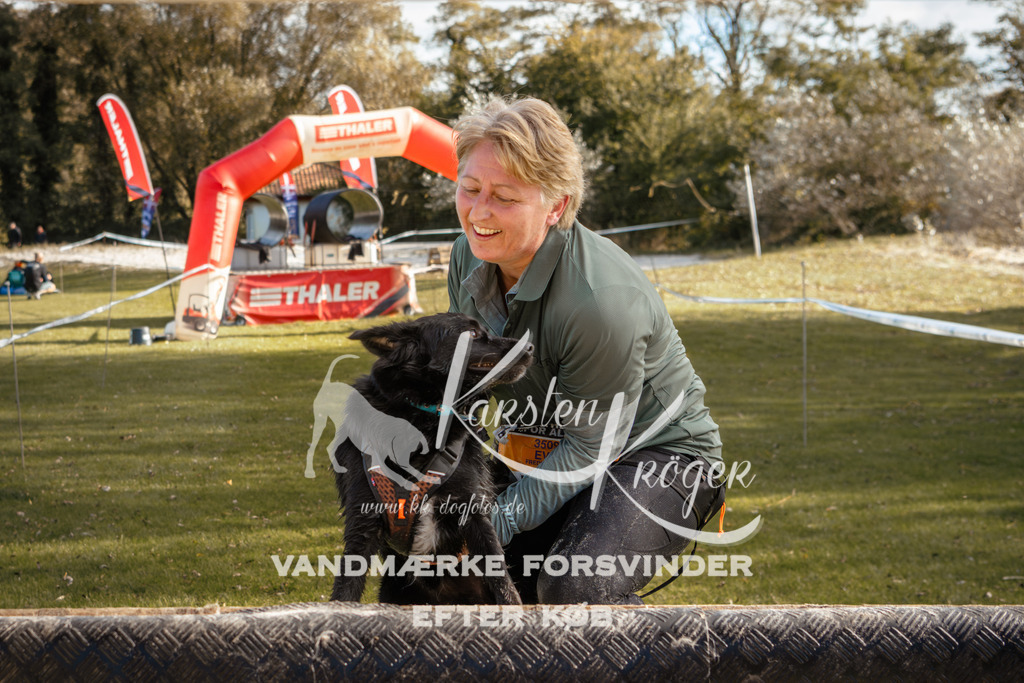 1428_ZZ94568-2 | kk-dogfotos