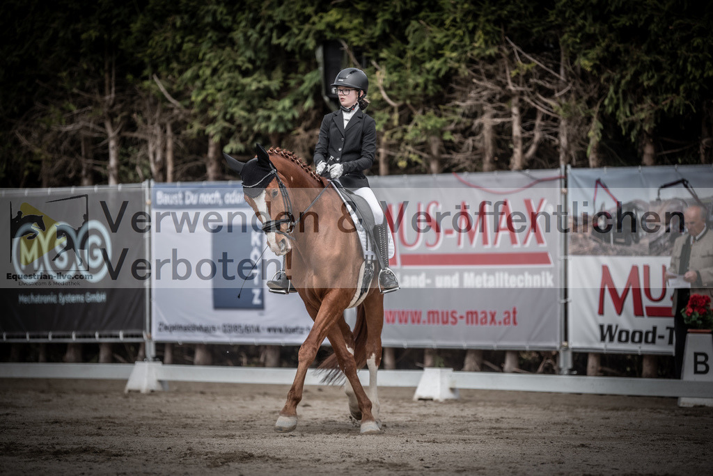 DSC_3246 | equestrian-live-com