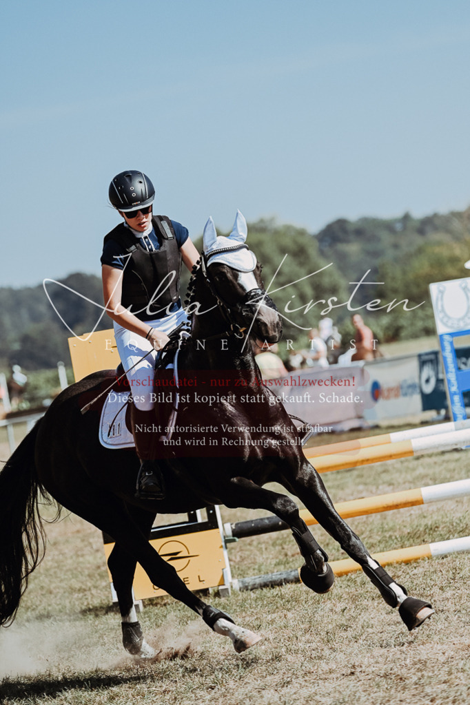 DSC_9842 | Pferde- und Turnierfotografie in Westsachsen. Pferdeportraits, Auftragszeichnungen und intuitive Kunst.