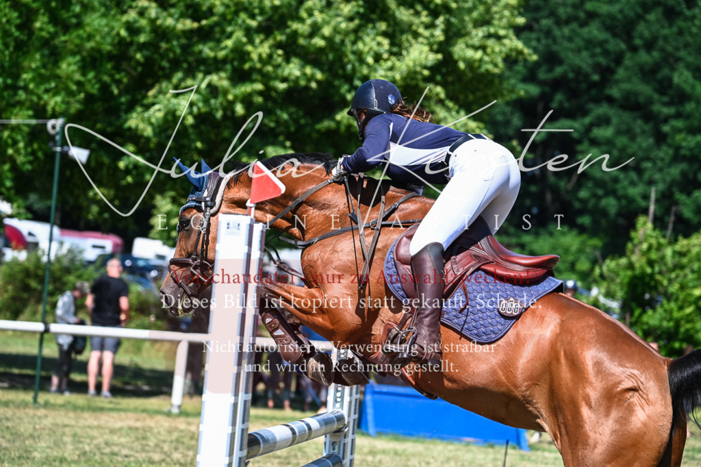 DSC_1372 | Pferde- und Turnierfotografie in Westsachsen. Pferdeportraits, Auftragszeichnungen und intuitive Kunst.