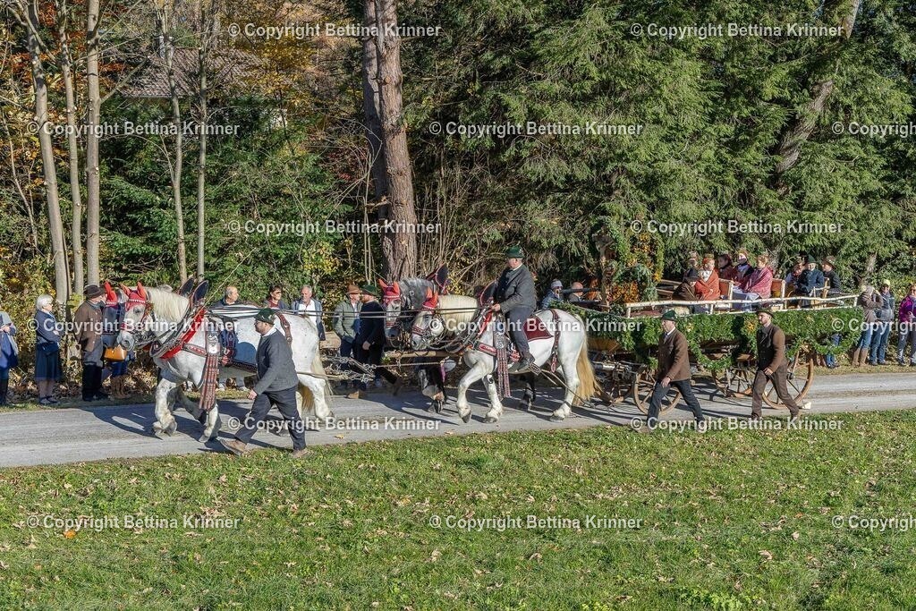 LBT25-594 | foto-bettina-krinner - Realisiert mit Pictrs.com