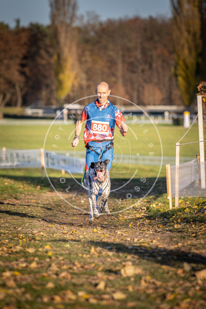 CaniXpix_DV3A4306 | Hundefotografie, Tierfotograf, Pfotenfotografie, Fotoshooting Hund, Hunde Portrait, Hundesport, Hundeportraits, Heideshooting, Hunde, Sportfotograf, Hundefotograf, Turnierhundsport, THS,  - Realisiert mit Pictrs.com