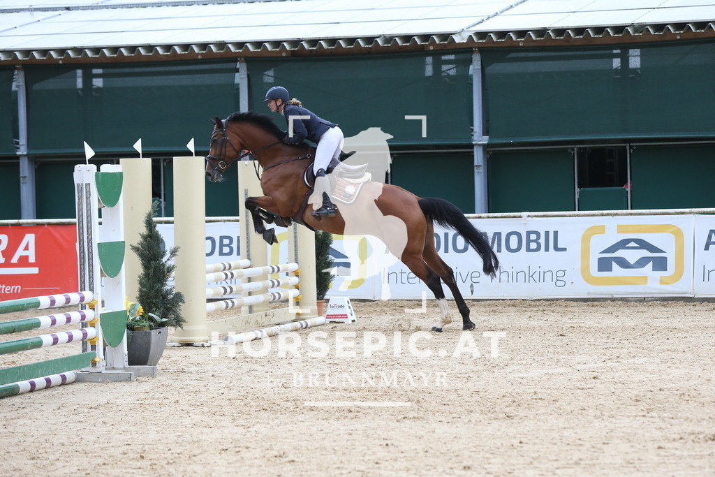 DL2Q4943 | Willkommen bei Brunnmayr - Design & Fotografie – Ihrem Spezialisten für Reitturniere und Pferdeveranstaltungen in Oberösterreich, Salzburg und Bayern! Seit über 17 Jahren sind wir leidenschaftlich dabei.
