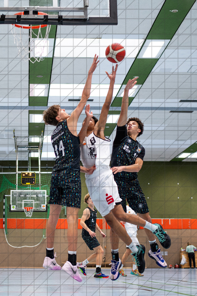 JBBL 24/25 | 23.11.2024 | Charisma Young Bulls vs. UBC Münster  | JBBL 24/25 | 23.11.2024 | Charisma Young Bulls vs. UBC Münster - - - - - CREDIT, www.bullenfotos.de, Martin König, Hörner Weg 40, D-49078 Osnabrück, +4917663732967, Nutzung und Weitergabe nur zu den vereinbarten Zwecken. Presseanfragen an Urheber. Alle Rechte beim Urheber. - - - - - - Realisiert mit Pictrs.com