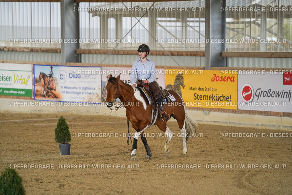 DSC06383 | Pferdegrafie