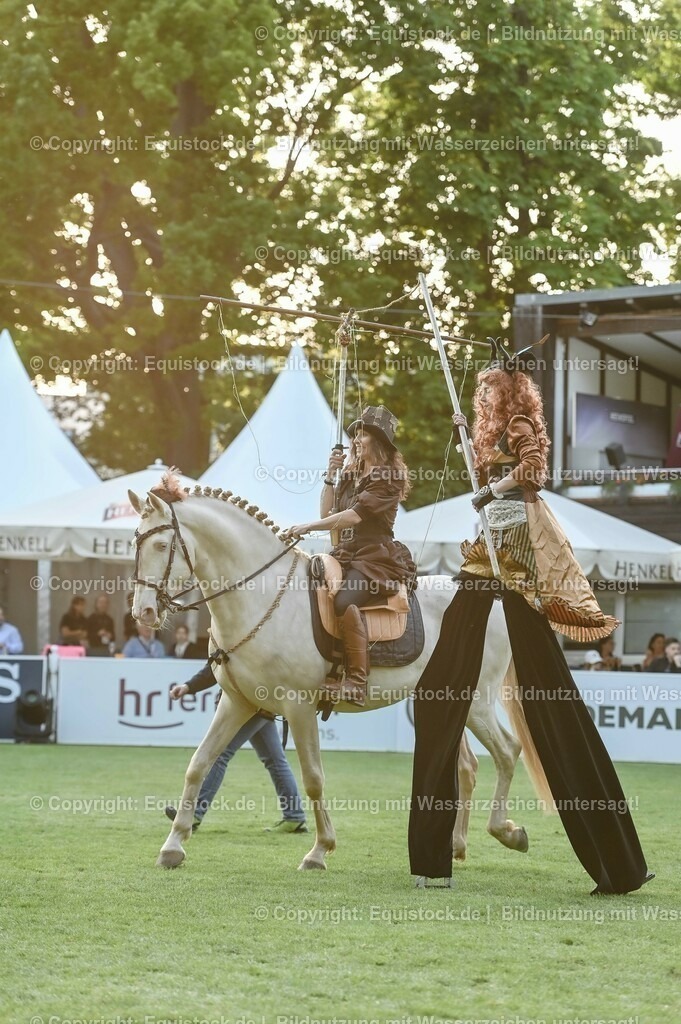 20230526_Pferdenacht_0232 | equistock