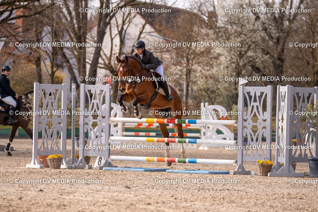 Kranichstein Tag 1-1026 | dv-media-shop - Realized with Pictrs.com