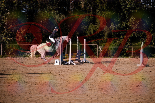2026_10_03_Siefer-Hof_155157_Z81_71271193 | Professionelle Reitsport-, Turnier- und Eventfotografie von Robert Broda. Galerien mit ausgewählten und bearbeiteten Bildern direkt online ansehen und bestellen.