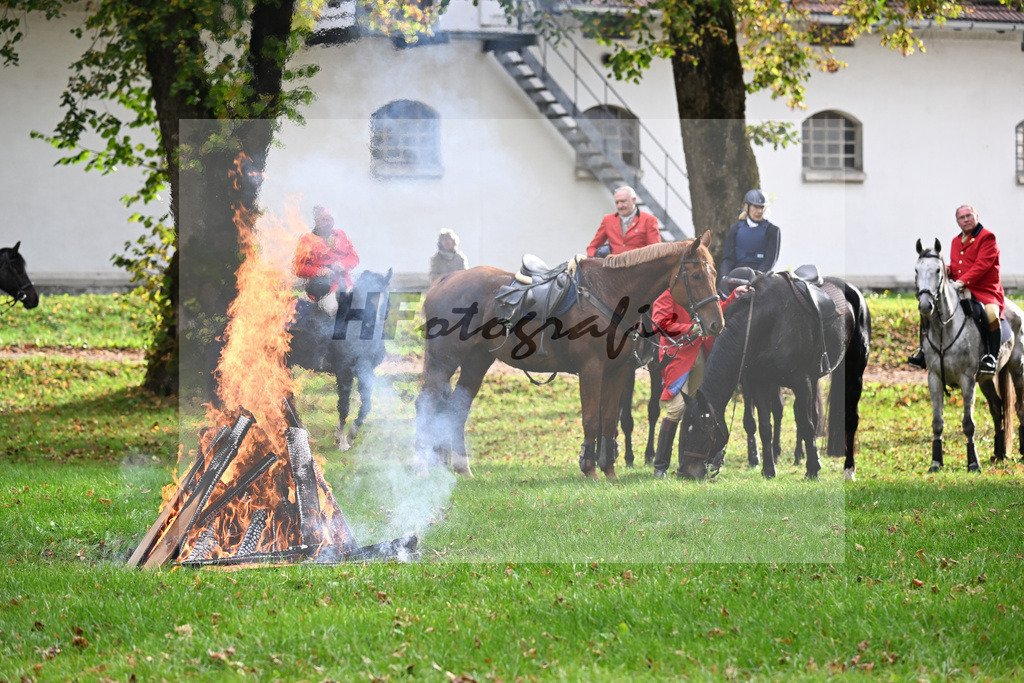 40250961 | hf-fotografie - Realisiert mit Pictrs.com