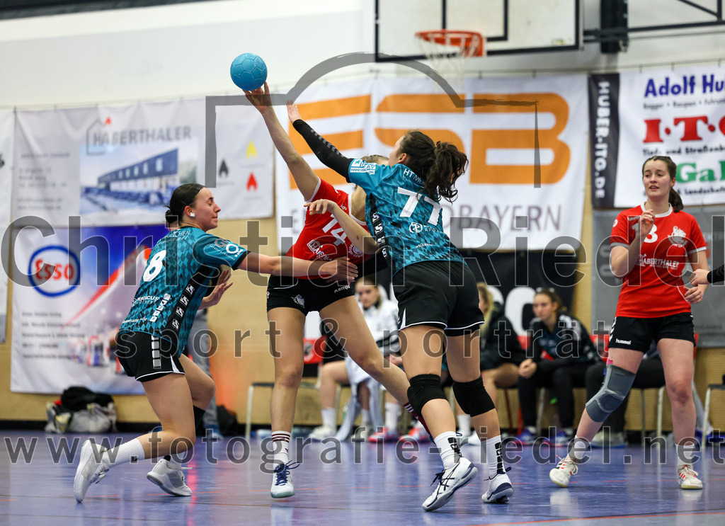 2022-11-27_050_SV_Anzing_gegen_HT_Muenchen_II | Anzing, Deutschland, 27.11.2022:
Handball, Bezirksliga 2022 / 2023, 7. Spieltag, SV Anzing gegen HT München II, Endergebnis: 28:32

Helena Dannheim (HT München, #8), Elena Holzmann (SV Anzing, #14), Bianca Serg (HT München, #77)

Foto: Christian Riedel / fotografie-riedel.net