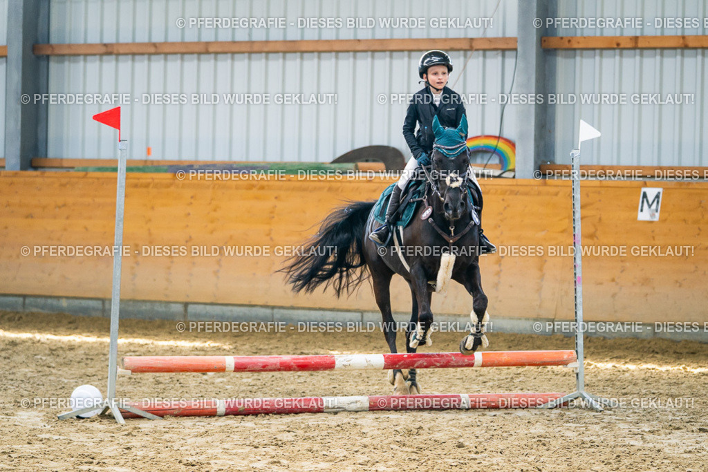 DSC01647 | Pferdegrafie