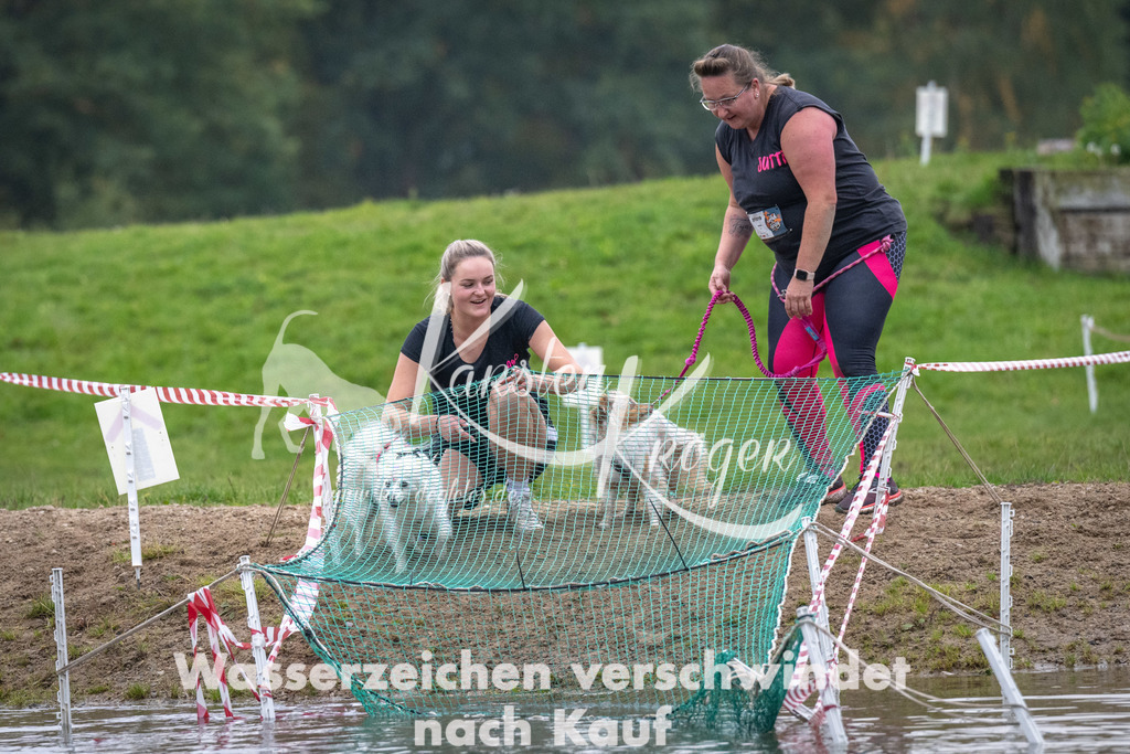 0837_ZZ92185 | kk-dogfotos