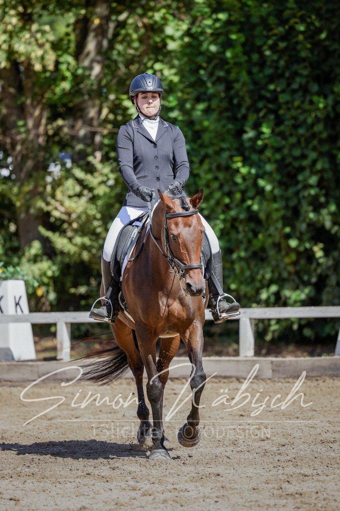 20250906-_3LI4581 | Tierfotografie Pferde, Hunde, Katzen, Haustiere.
Turnierfotografie Reitturniere, Reiten, Springreiten, Dressur in Hanau, dem Main-Kinzig-Kreis und dem Rhein-Main- Gebiet um Frankfurt