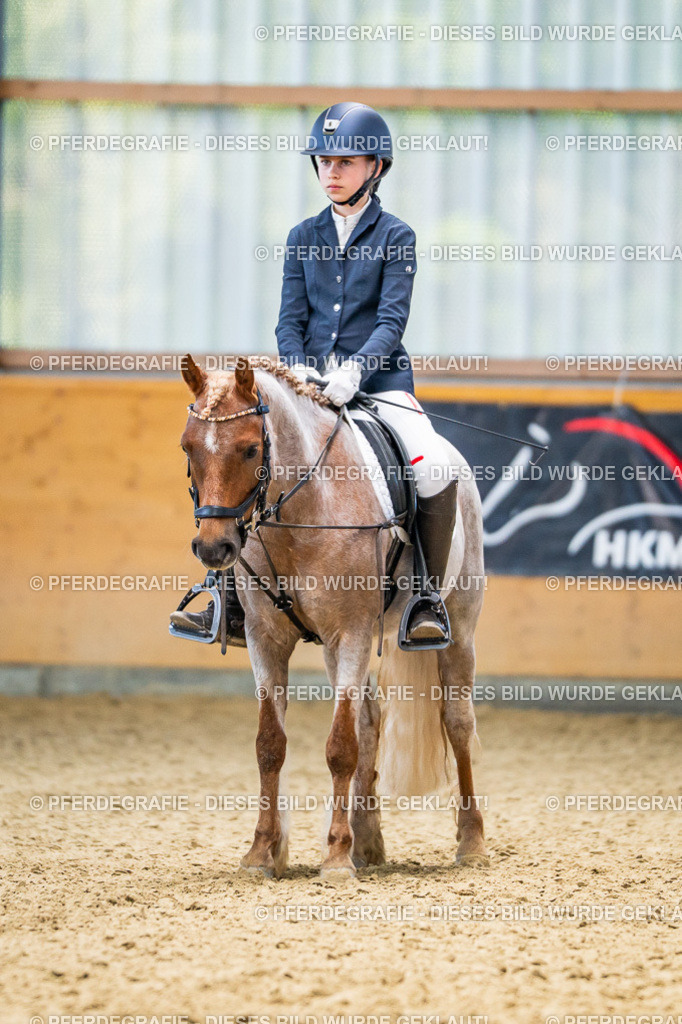 DSC02720 | Pferdegrafie