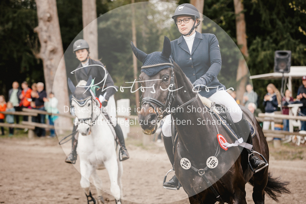 3I6A4440 | Stimmungsvolle Portraits und Reitsportfotografie im Ruhrgebiet und im Münsterland.

Pferdefotografie, Hundefotografie, Tierfotografie, Reportagen, Portraits von Tier und Mensch, Turnierfotografie in Bochum, Recklinghausen, Marl, Haltern am See, Dülmen.. - Realisiert mit Pictrs.com