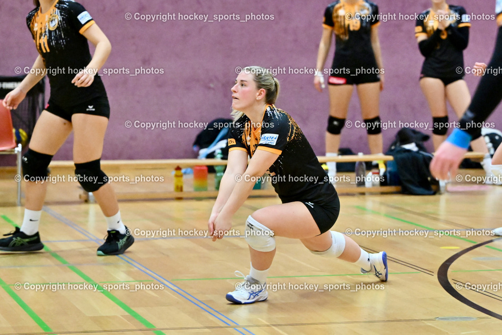 ASKÖ Volley Eagles Villach vs. VC Hausmannstätten | #13 BEBEKAJLO Vanessa ASKÖ Volley Eagles Villach, ASKÖ Volley Eagles Villach vs. VC Hausmannstätten, ASKÖ Volley Eagles Villach vs. VC Hausmannstätten am 01.02.2025 in Villach (Ballspielhalle Lind), Austria, (Photo by Bernd Stefan)