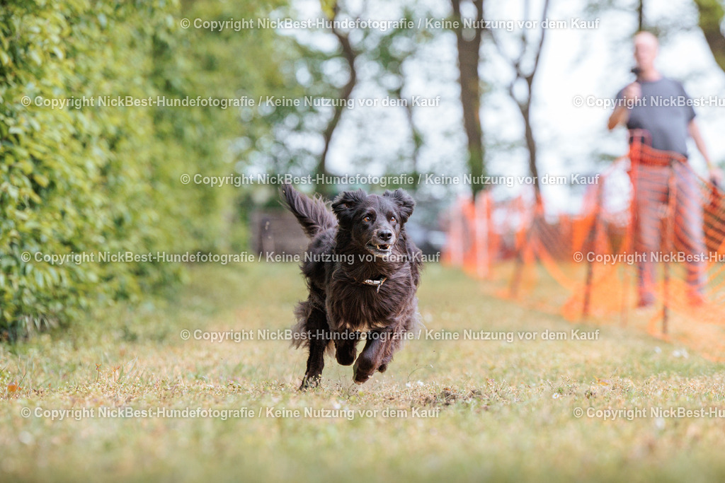 Sage Hunderennen Frühlingsfest-2026-Nickbest-Hundefotografie-0740 | Dein Hund! Dein Moment! Deine Erinnerungen! Hundefotografie in Bremen Blumenthal. Ich fange die besonderen Momente deines Vierbeiners ein – ob Indoor mit Blitzanlage oder in der freien Natur. Sicher dir dein Moment und dein Termin für eure Erinnerungen.