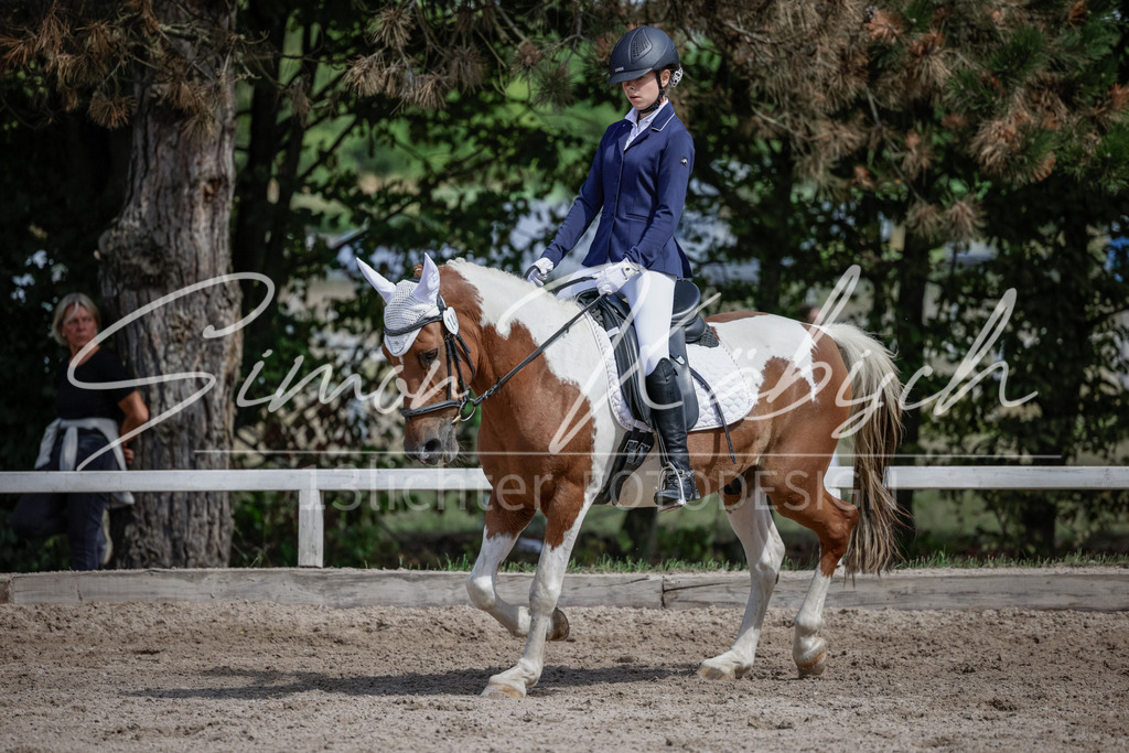 20250906-_3LI5488 | Tierfotografie Pferde, Hunde, Katzen, Haustiere.
Turnierfotografie Reitturniere, Reiten, Springreiten, Dressur in Hanau, dem Main-Kinzig-Kreis und dem Rhein-Main- Gebiet um Frankfurt