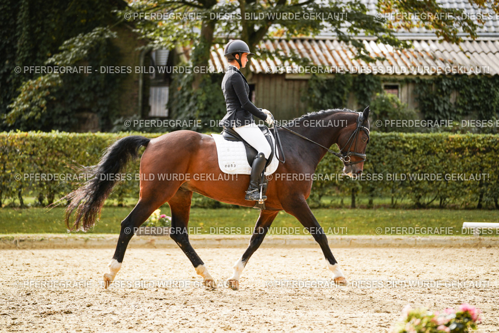 DSC09792 | Pferdegrafie