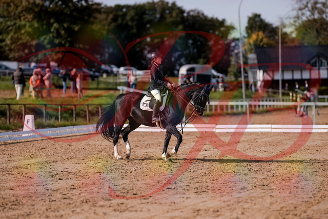 2026_10_03_Siefer-Hof_121534_Z81_17123853 | Professionelle Reitsport-, Turnier- und Eventfotografie von Robert Broda. Galerien mit ausgewählten und bearbeiteten Bildern direkt online ansehen und bestellen.