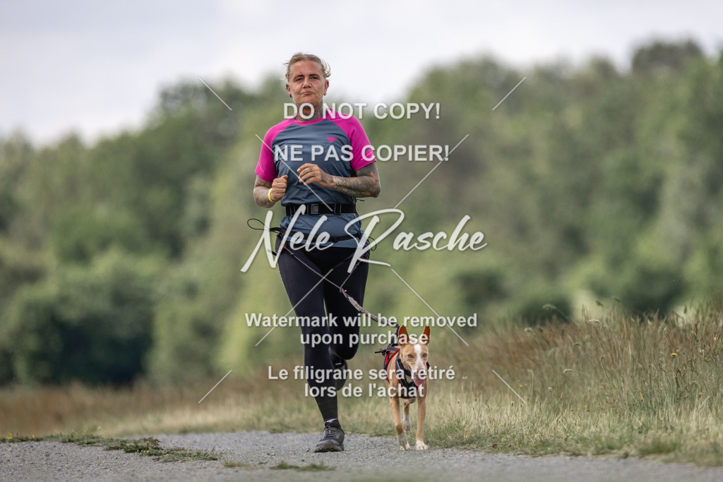 nelerasche_BuHu2026_SaCC1100-1200_171 | nelerasche