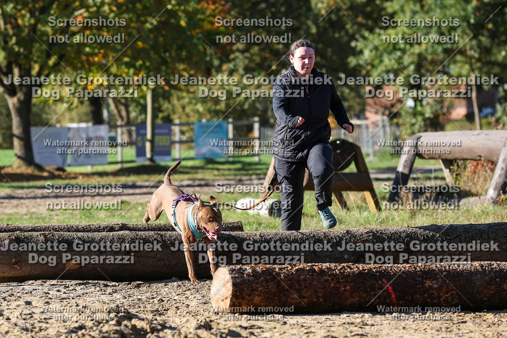 Dog Paparazzi - Strongdog 10-25-1998 | Dog Paparazzi Jeanette Grottendiek Fotografie & Videografie - Realisiert mit Pictrs.com