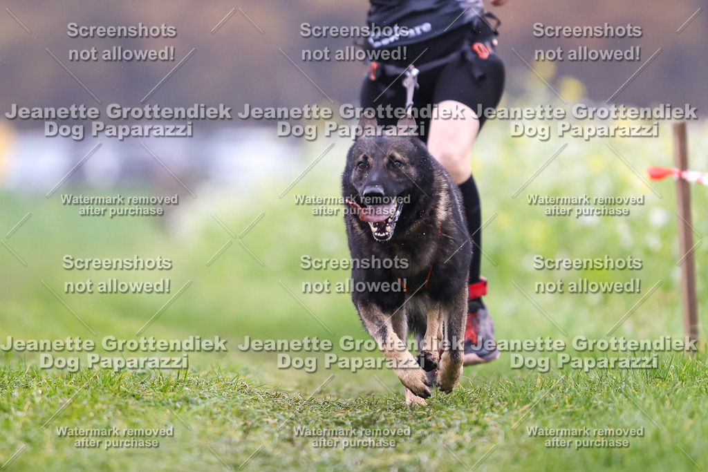 Dog Paparazzi - Visbeck 25 -808 | Dog Paparazzi Jeanette Grottendiek Fotografie & Videografie - Realisiert mit Pictrs.com