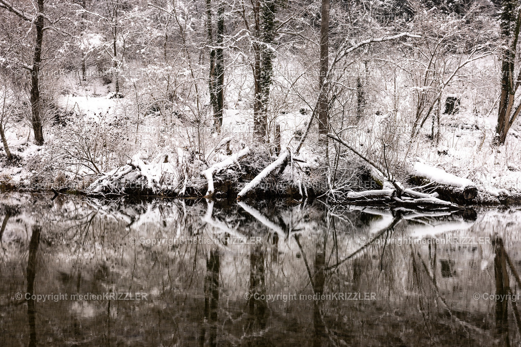 _J3A9575 | medienkrizzler - Realisiert mit Pictrs.com