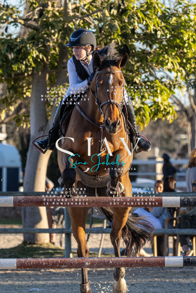 IMG_2816 | s-jay-photography - Realisiert mit Pictrs.com