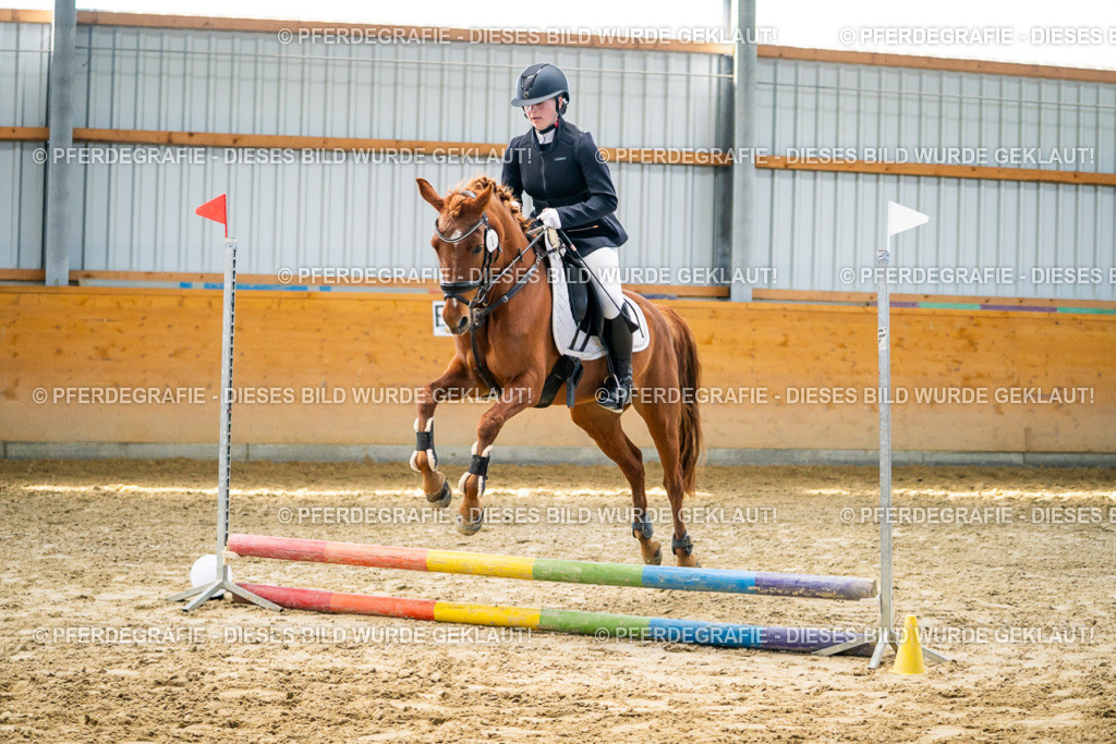 DSC01501 | Pferdegrafie