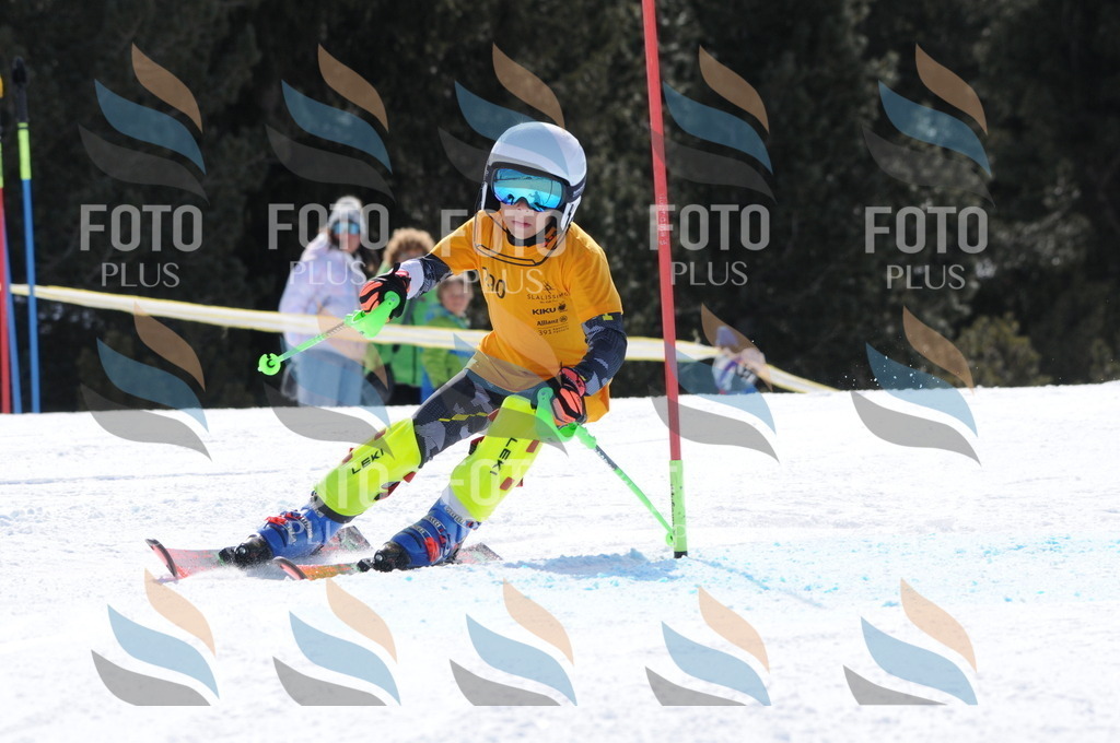 C9065 | holidayphoto