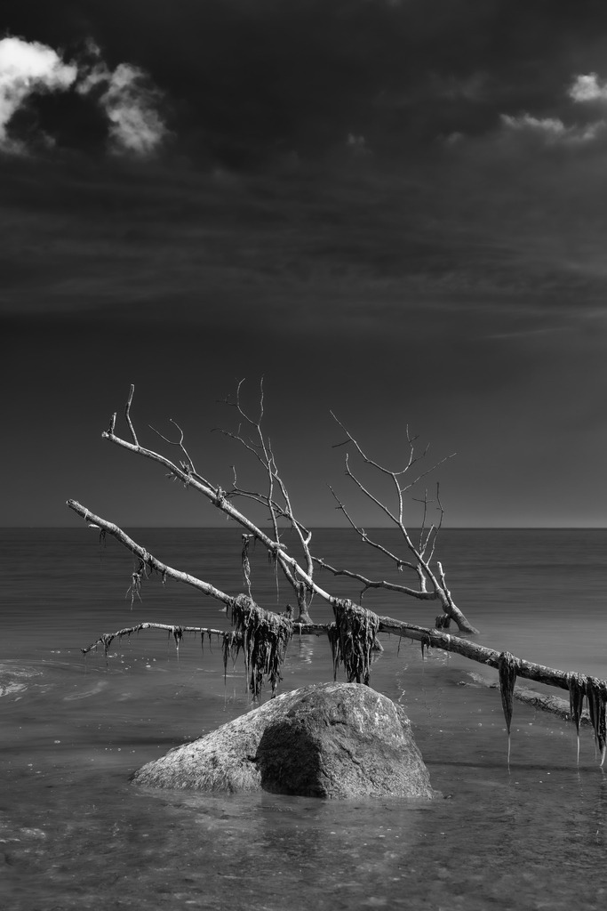 2025_04_16_TRAVEMUENDE_MCP8033 sw | Hochwertig gedruckte Fotografien für die Wand, als Kalender und zum Verschenken. Hamburg & Norddeutschland und überall wo ich mit der Kamera unterwegs war.