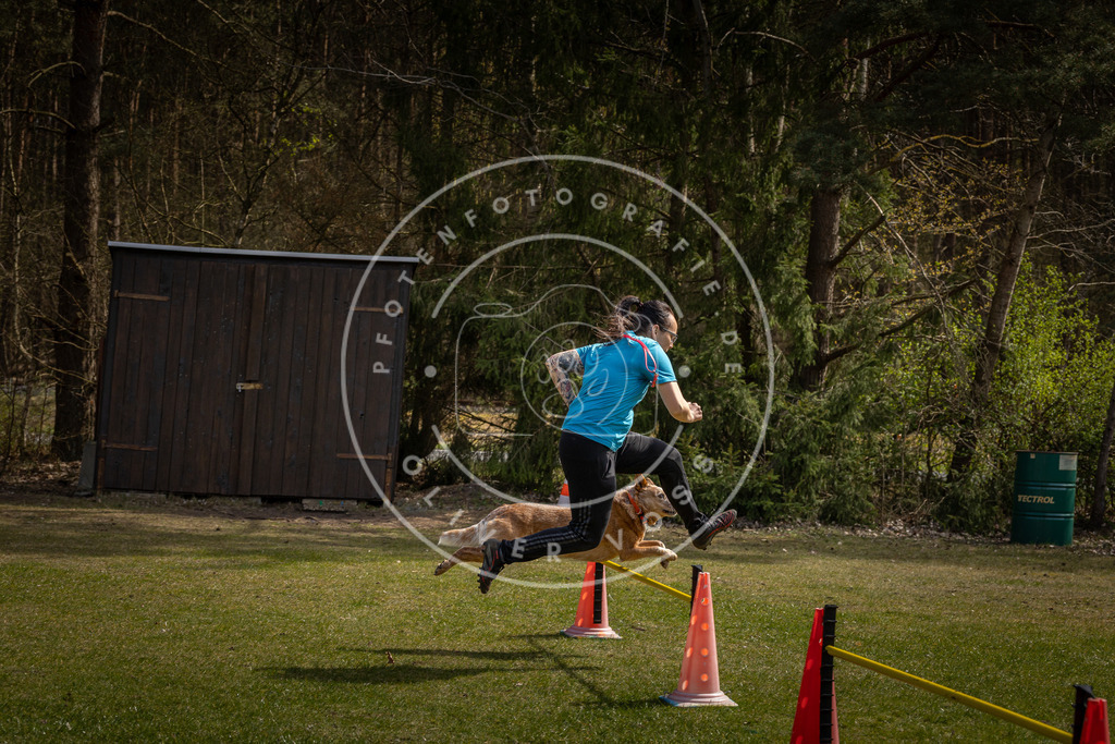 Pfotenfotografie_DV3A3929 | Hundefotografie, Tierfotograf, Pfotenfotografie, Fotoshooting Hund, Hunde Portrait, Hundesport, Hundeportraits, Heideshooting, Hunde, Sportfotograf, Hundefotograf, Turnierhundsport, THS,  - Realisiert mit Pictrs.com
