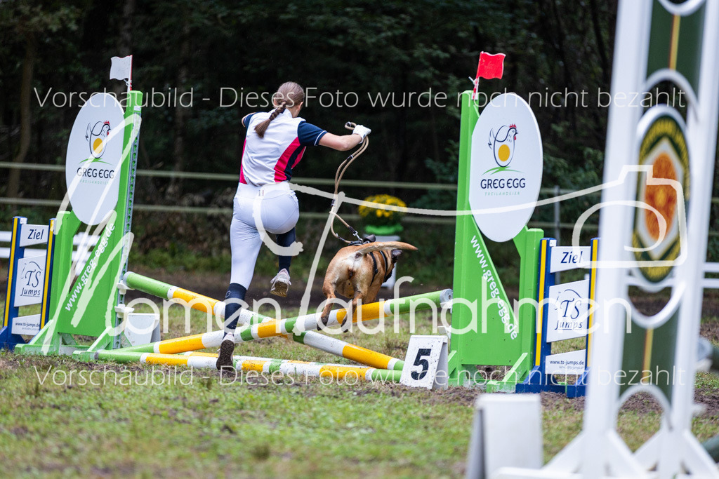 HB-JaD-041 | MomenTaufnahmen Pferdesportfotos