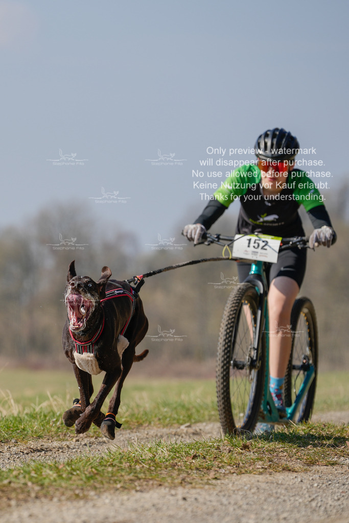 Scooter_Lang-73 | stephaniefillaphotographie - Realisiert mit Pictrs.com