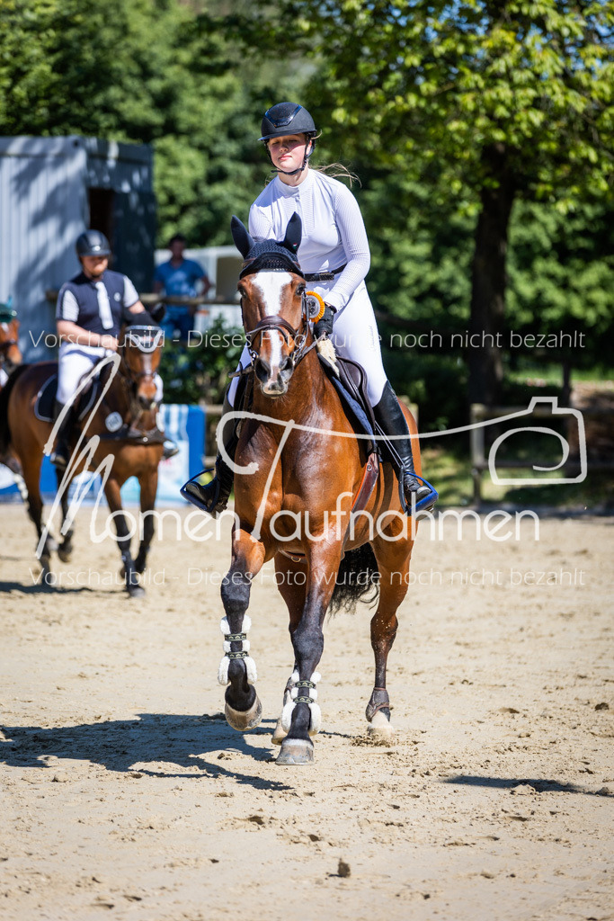 Donop24-M-Spr-099 | MomenTaufnahmen Pferdesportfotos